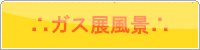 �K�X�W���i�ʐ^