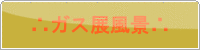 �K�X�W���i�ʐ^